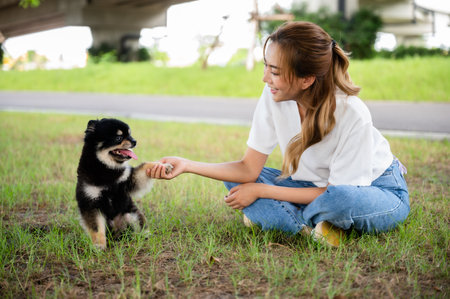 Happy young asian woman playing and sitting on grass in the park with her dog. Pet lover conceptの写真素材