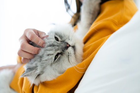 Portrait of young Asian woman holding cute cat. Female hugging her cute long hair kitty. Adorable pet conceptの写真素材
