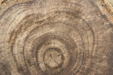 Wooden texture backgroundの写真素材