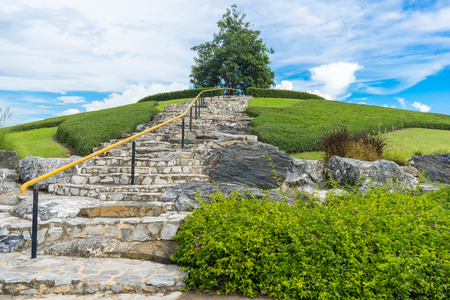 tree and rock stairs made with stone,Chiang Mai Thailand.の写真素材