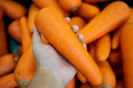Hand picking fresh carrot on supermarket storeの写真素材