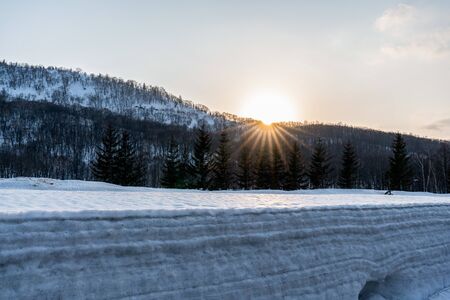 Winter landscape of a mountain forest covered with snow at sunrise.