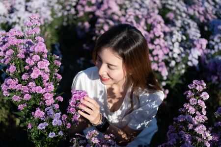 Woman in white dress with white umbrella posing in purple margaret flower field.の写真素材