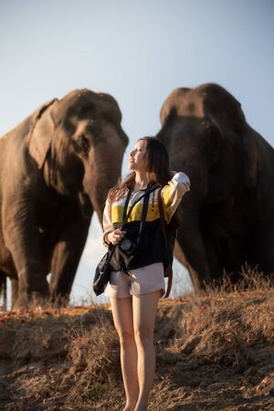 Young woman with elephant in Thailand.の写真素材