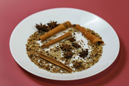 Chinese five spices stew on white plate with red background.の写真素材