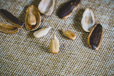 Sunflower seed  stands  on a sack background.