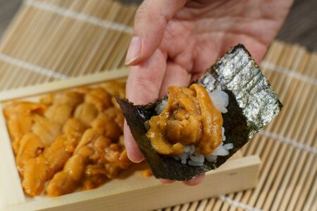 Uni Japanese sea urchin with rice and seaweed in hand.の写真素材