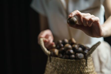 Person holding chestnuts on hand with wicker basket full of chestnuts.の写真素材