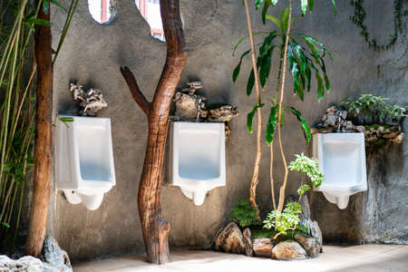 Nature interior decoration, of restroom with stone and green plant.の写真素材