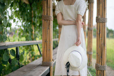 Woman in white dress walking on Bamboo tunnel and bridge as the walk way through the rice field.の写真素材