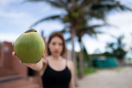 Palm tree with ripe coconuts, coconut bunch on a palm tree.の写真素材