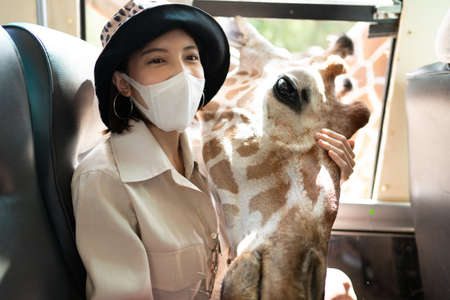 Woman wearing mask with giraffe, it waiting for food from bus window in zoo.の写真素材