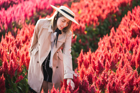 Woman in trench coat and straw hat  walking in the red flower field.の写真素材