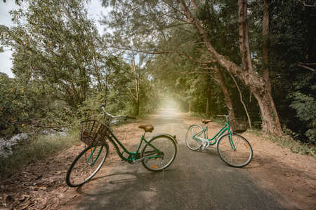 A bicycle on road with sunlight and green tree in park outdoor.の写真素材
