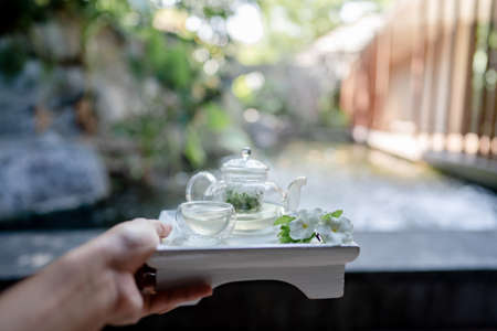 Hand holding the tray served transparent teapot with herbal tea.の写真素材