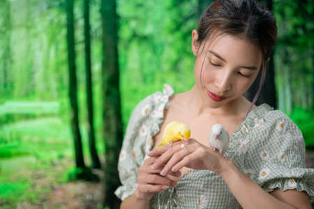 Tiny parrot yellow and white Forpus bird on woman hand, yellow parrot try to bite pearl ring.の写真素材