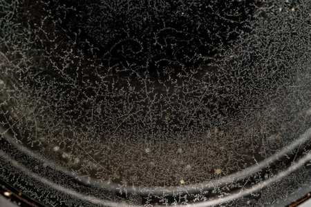 Fungus and mold on a camera lens.の写真素材