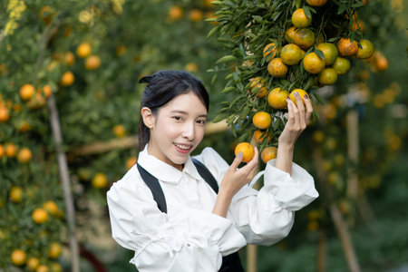 Woman farmer picking carefully ripe  orange in orchard.