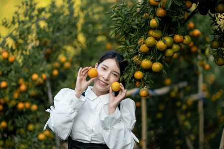 Woman farmer picking carefully ripe  orange in orchard.の写真素材