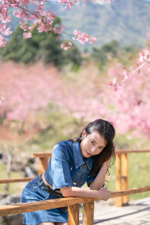 Woman with cherry blossoms or sakura flower blooming in the parkの写真素材