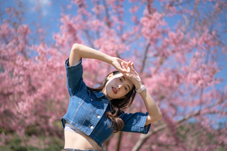Woman with cherry blossoms or sakura flower blooming in the parkの写真素材