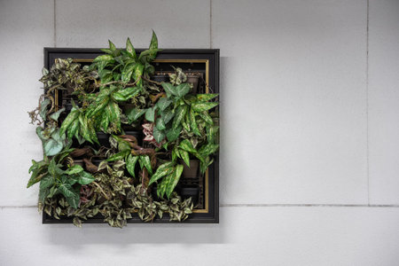 White Wall decorated by hanging Vertical plant garden in wooden frame.