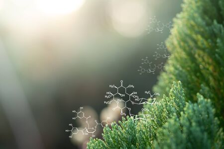 Plants background with biochemistry structure.の写真素材