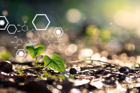 Plants background with biochemistry structure.の写真素材
