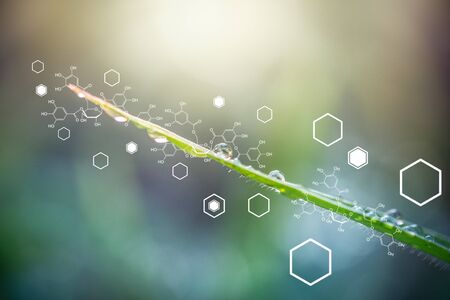Plants background with biochemistry structure.の写真素材