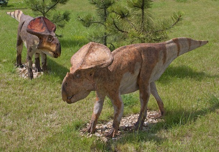 Dinosaurs on the grassの写真素材