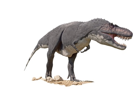 Tyrannosaurus T-Rex dinosaur のeditorial素材