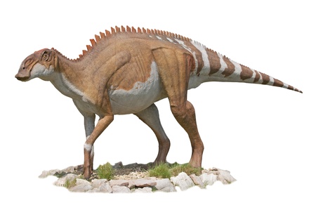 Dicraeosaurus Dinosaur - white background のeditorial素材