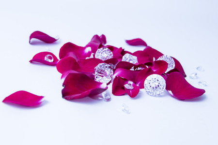 red rose flakes with diamonds on the white backgroundの写真素材