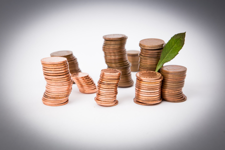 A stack of coins isolated at the white background with a green plant growing up from coins stackの写真素材