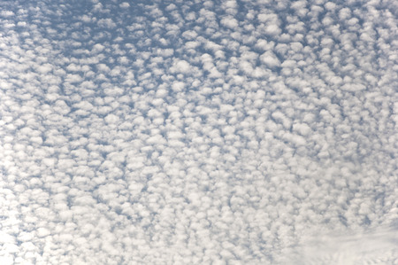 Lots of tiny cirrus clouds on white sky