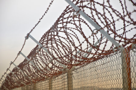 Closeup photo of a barbed wire fence