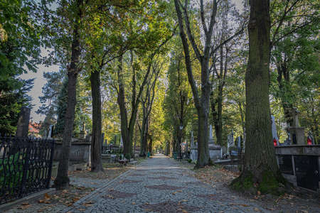 TARNOW, POLAND - OCTOBER 09, 2021: Polish city in Malopolska often called "Pearl of Polish Renaissance". Europe's most beautiful town according CNN. o / p old cemeteryのeditorial素材