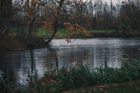 a walk in the park in times of the pandemicの写真素材