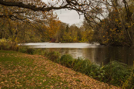a walk in the park in times of the pandemicの写真素材
