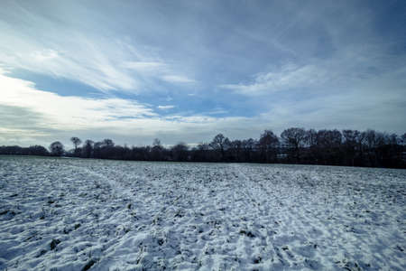 Visit after christmas 2020 park in england ,first snowの写真素材