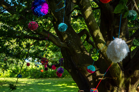 Fluffy balls hanging from a tree in a park in Englandの写真素材