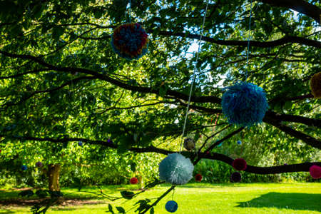 Fluffy balls hanging from a tree in a park in Englandの写真素材