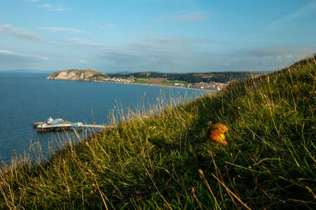 View of the pier and the town of Llandudno in Wales, United Kingdonの写真素材