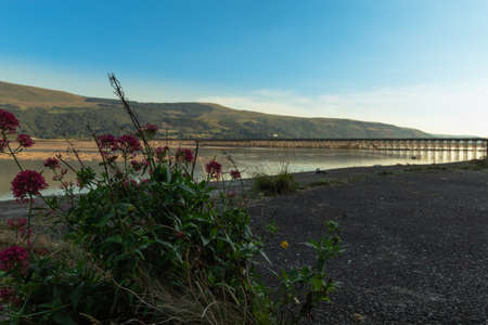 View on The Rail and Footbridge in Barmouth in Wales United Kindgomの写真素材
