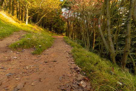 Mam Tor in National Park Peak District in Derbyshire UK, walking in footpath in autumn 2021.の写真素材