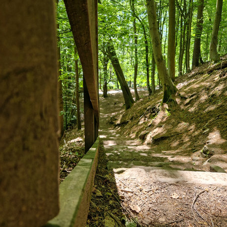 Nestled amidst the picturesque landscapes of the United Kingdom, Derwent Reservoir stands as a tranquil oasis of natural beauty. The reservoir, located in the stunning Derbyshire countryside, offers a serene escape from the bustling world.の写真素材