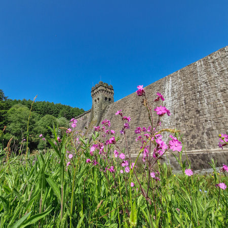 Nestled amidst the picturesque landscapes of the United Kingdom, Derwent Reservoir stands as a tranquil oasis of natural beauty. The reservoir, located in the stunning Derbyshire countryside, offers a serene escape from the bustling world.の写真素材