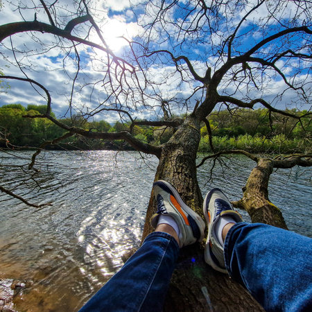 In the peaceful serenity of a picturesque lake, a man finds his perch atop a tree. With the shimmering waters below and the gentle breeze rustling through the leaves, he sits in contemplation, immersed in the tranquil beauty of his surroundings.の写真素材