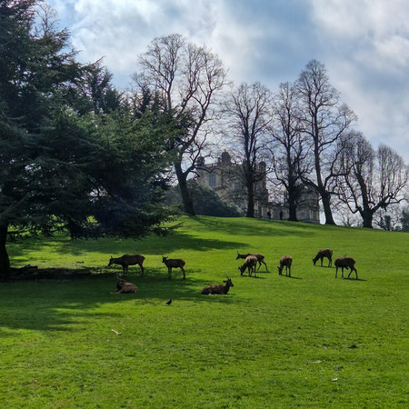 Take your time to explore the park's various attractions, including serene lakes, well-maintained gardens, and picturesque viewpoints. The park's vast open spaces offer ample opportunities for picnics, relaxation, or simply enjoying a leisurely walk.のeditorial素材