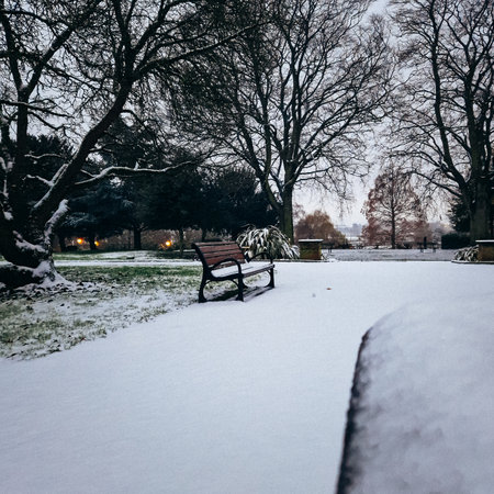 First snow, England Burton on Trent, Park Staphenhill.の写真素材